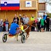Kasaške dirke v Komendi 18.09.2016 Sedma dirka enovpreg ponijev