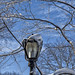 Lamp Post and Snow