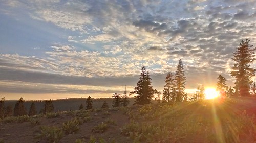 california road bear ca trees sunset mountain nature beautiful pine clouds one phone outdoor scenic cell off x squid valley pierce tamarack htc sxn soracco piercesoracco ©2013piercesoracco piercesoraccocom