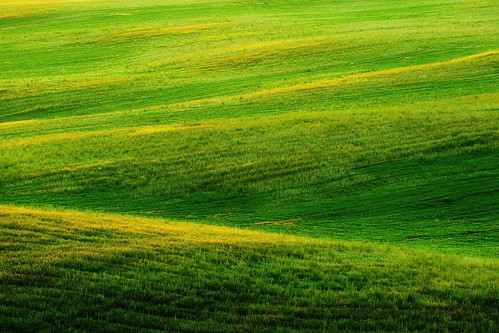land landscape field green grass moravia czech republic abstract awesome minimal minimalism beautiful colorful catchy nice wonderful wow lovely nature light waves hill pavel cervenka canon 6d detail ef70200f4l serene grassland