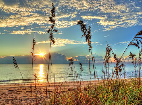 ocean sun beach grass clouds sunrise hdr patience