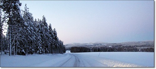 road winter snow forest vinter snö soe väg musictomyeyes almostanything