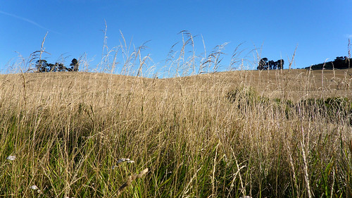 newzealand landscape canterbury folders bikingtour waikari 201002bikingnewzealand
