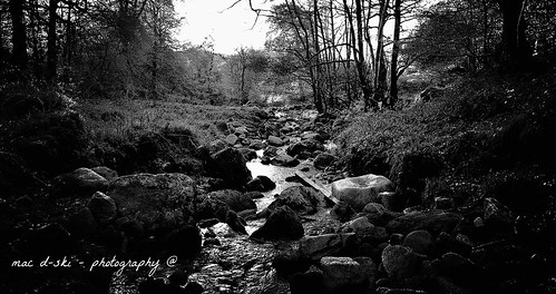 trees sky tree water stream place s eire magical irelnad nikond90 macdskiphotography