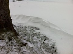 Snow drift round tree trunk