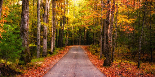 travel fallcolors cadescove greatsmokymountainsnationalpark