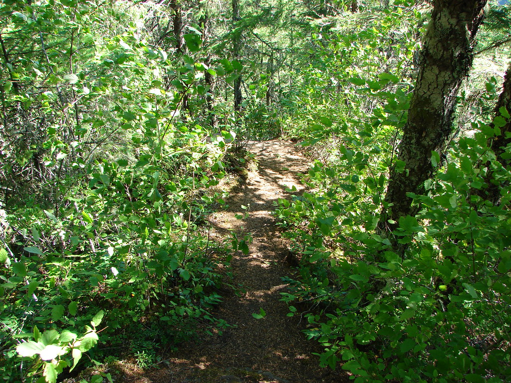 Elk Mountian Trail