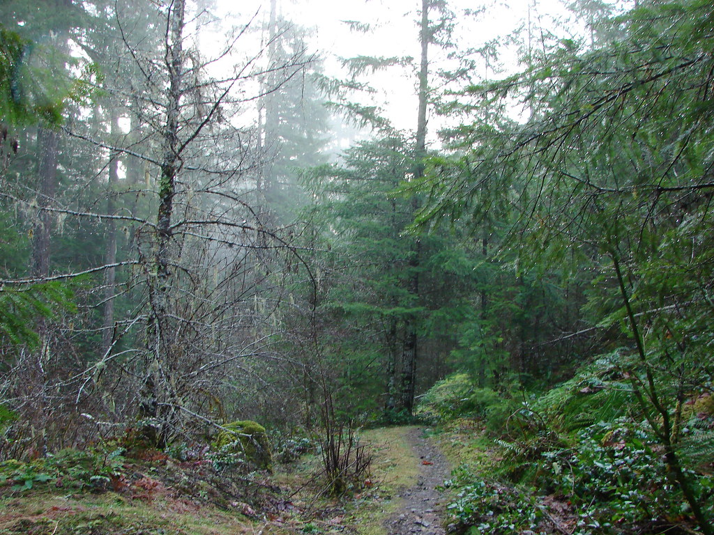 Little North Santaim Trail