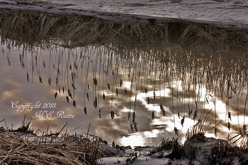 creek “golden marsh” “water” “magic “nature” flats” “sunrise” “meadowlands” “mill nj” hour” “mud “reflections” “dawn” “sun” “secaucus