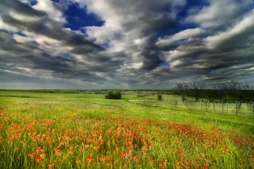 flowers industry clouds landscape vineyard texas redflowers industrytexas paradoxvineyard
