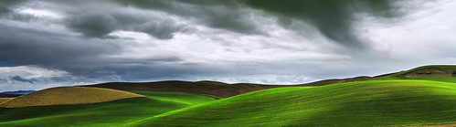 panorama storm green rain clouds washington wheat grain panoramic hills falling washingtonstate eastern rolling colfax palouse