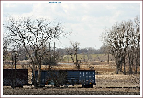 trees nature wisconsin train canon countryside boxcars canoneos60d picmonkey picmonkey:app=editor