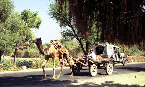 india 35mm kodak camel gujarat