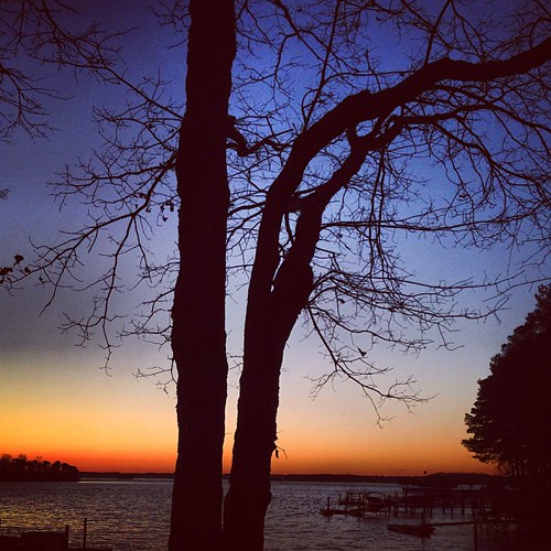 blue sunset sky orange lake tree nature water beauty silhouette square squareformat serenity hudson lakenorman iphoneography instagramapp uploaded:by=instagram foursquare:venue=4bee11402a7bb7136623cf9d
