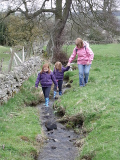 Walking Cotherstone 2010