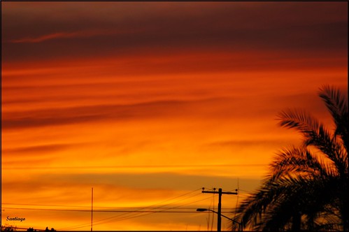 sunset sky luz clouds atardecer colours cielo nubes naranja palmera