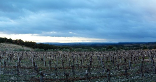 panorama hiver horizon rando vignes pyrénées février languedocroussillon hérault faugères circuitdes3tours