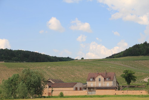 france landscape burgundy chablis