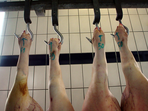 Pork legs hanging from meat hooks