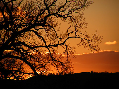 uk sunset sky orange cloud tree nature silhouette wales clouds march countryside spring oak branch hill 2013 rospix