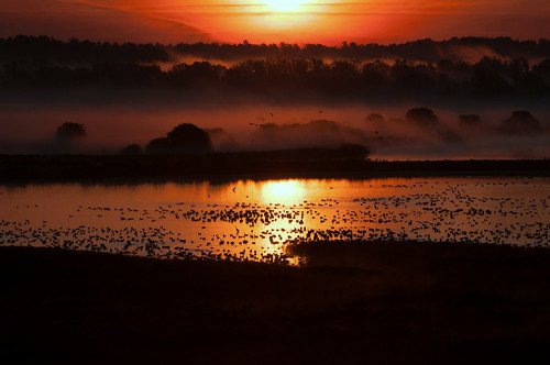 Sunrise over Knox Marsh. Photographed at Montezuma National Wildlife Refuge. Credit: Doug Racine/USFWS