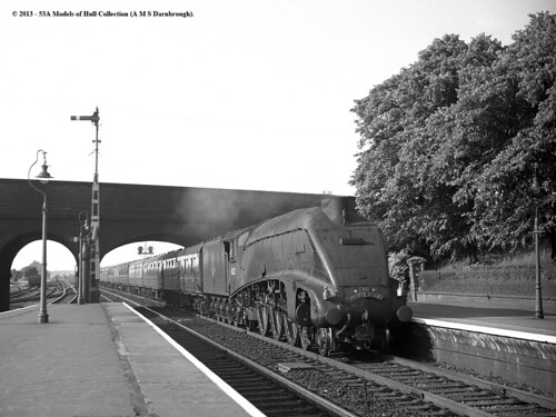 train railway steam falcon a4 whiterose huntingdon passengertrain britishrailways lner 462 gresley 60025