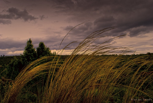 nature purple cielo nubes tormenta silencio hierba brisa campiña dramático millares