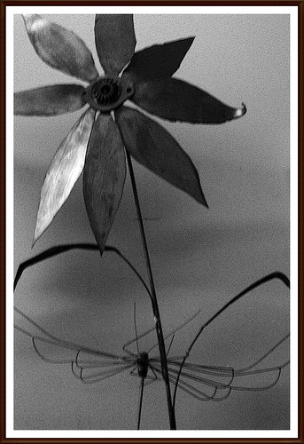 light sky sculpture flower nature metal clouds digital bug fun midwest dragonfly michigan framed detroit panasonic adventure april modified processed 2012 313 motown motorcity russellindustrialartcenter
