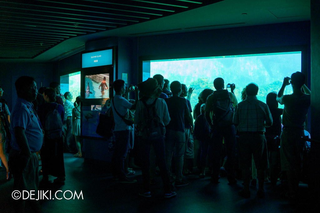 Marine Life Park Singapore - S.E.A. Aquarium - dolphin island gallery