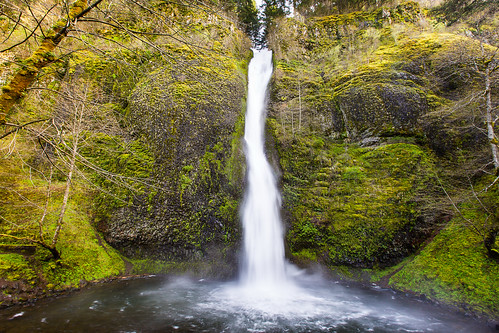 waterfall moss explore columbiarivergorge horsetailfalls columbiagorgescenichighway basaltcliff