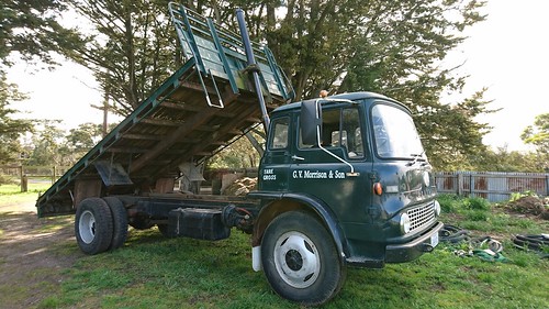 bedford tkbedford tippingtray traytruck lorry