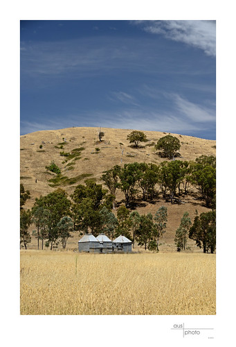 architecture iron kilns production vernacular agriculture tobacco corrugated curing myrtleford