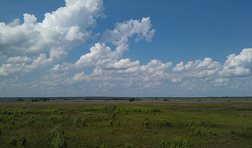 sky copyright usa nature clouds landscape florida web cellphone cell creation april northamerica fl prairie android allrightsreserved micanopy copyrighted alachua paynesprairie 2013 michellepearson 43013 websized img0182 thundebolt mickip mickip65 20130430 04302013 apr302013