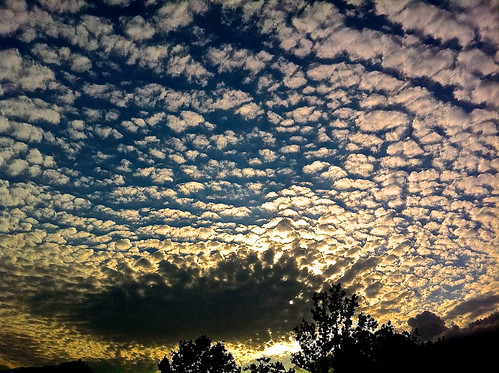 trees sunset sky cloud clouds