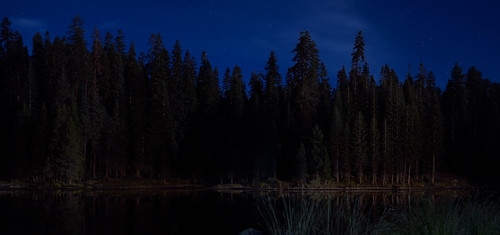 california lake stars sequoianationalpark firtrees