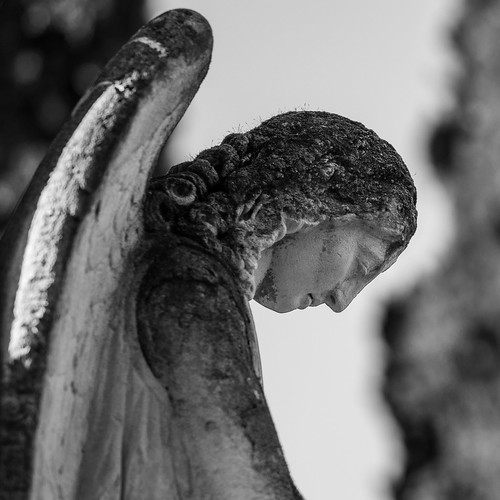 blackandwhite sculpture angel saintlazare noiretblanc ange cimetière stlazare cimetary
