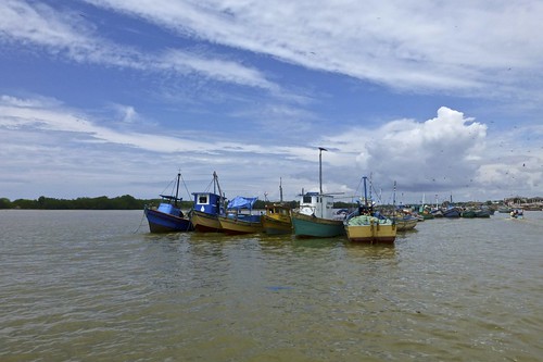las naturaleza fish men peru nature de landscape puerto outdoors botes boat isla pizarro tumbes