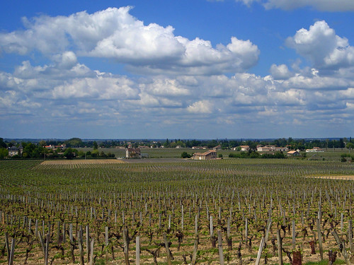 france vineyard bordeaux château lussac sonyw150 châteaudelussac