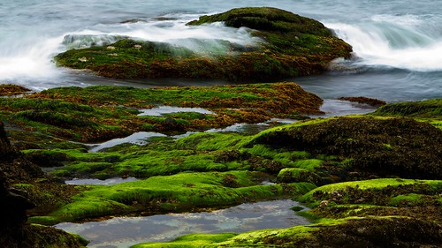 ocean longexposure ri travel lighthouse seaweed water landscape puddle is moss rocks waves atlantic rhodeisland l beavertail f28 manfrotto 70200mm canon5dmarkii aperture3