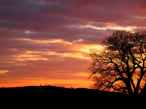 uk pink light sunset sky orange cloud tree nature silhouette wales clouds countryside spring oak stripes april 2013 rospix