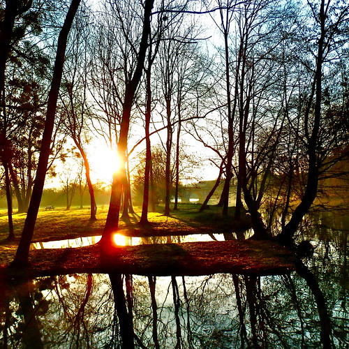france nature sunshine river dawn centre olympus naturalbeauty robbiewilliams morningsun newday loir rn10 eureetloir marboué mickyflick