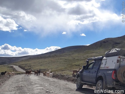 road trip peru nissan 4x4 viajes arb alpacas overland navara