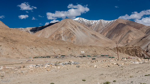 ladakh mountains