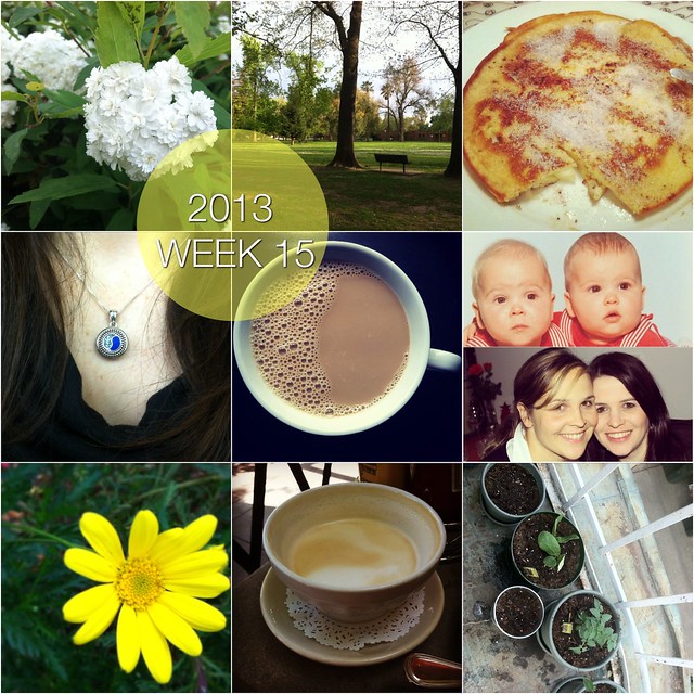 2013 in pictures: week 15