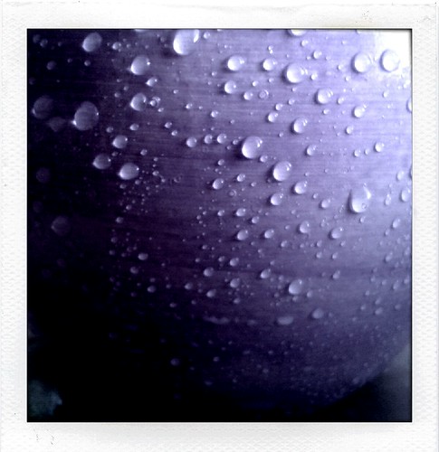 music rain square polaroid video purple drop april ♫ explored 2013 polaroidstyle altaikai handyupload flickrandroidapp:filter=none renateeichert resilu