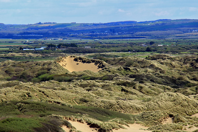 Braunton Burrows