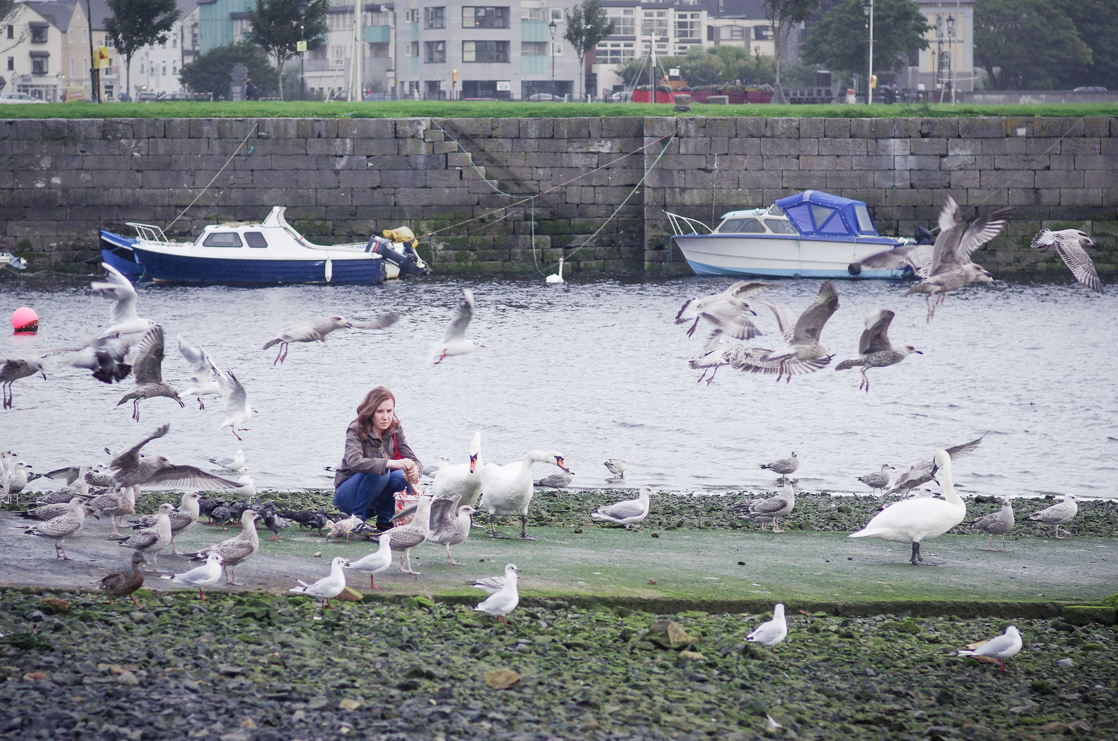 Galway, un vent de Liberté - Carnet de voyage en Irlande