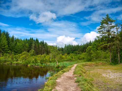 park ireland sky lake nature water clouds forest landscape clare refelection cratloe
