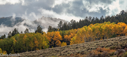 autumn autostitch panorama usa canon colorado unitedstates stitch co powderhorn autumncolor ef70200f4l ptgui alpineroad 5dmkii cr149a