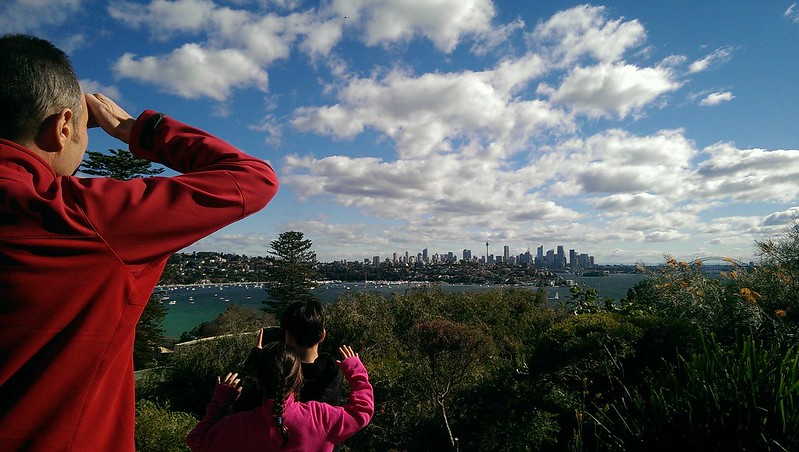 Overlooking the Sydney skyline